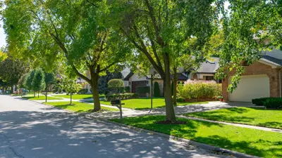 A suburban neighbour in a city with many trees in front lawns