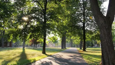 A Kingston city park scene with a path and trees